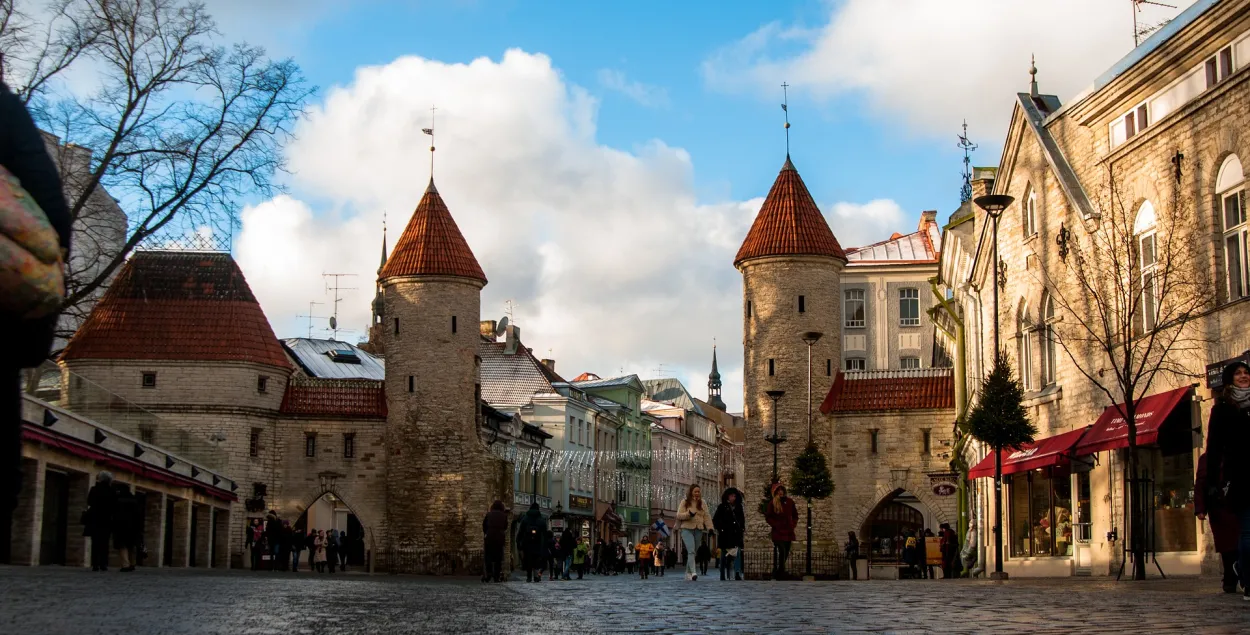 Эстония не будет выдавать белорусам визы на учёбу