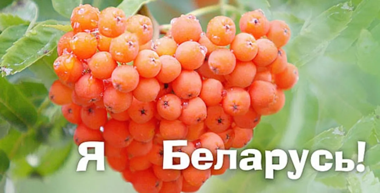 На дзень святога Валянціна ў Гродне на білбордах прызнаюцца ў любові да Беларусі