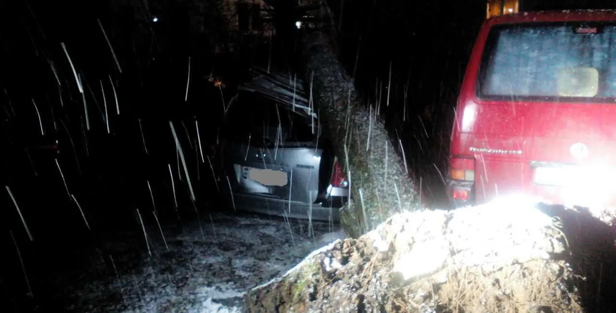 Фотафакт: у Мінску дрэва звалілася адразу на 4 аўтамабілі