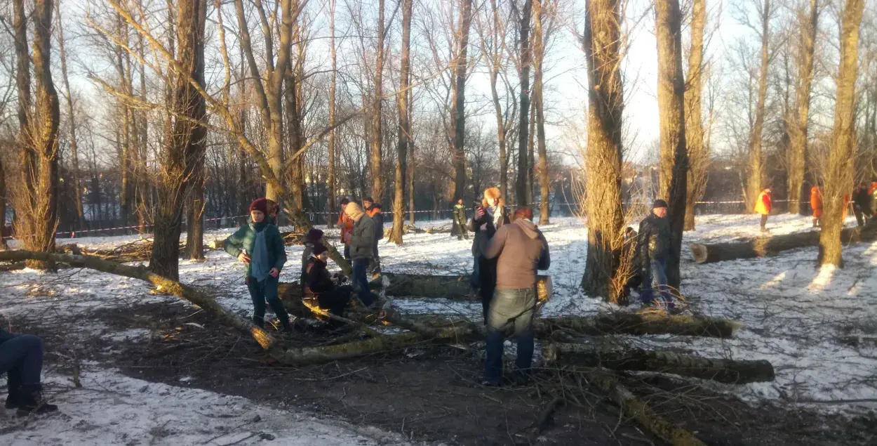 Эколагі пададуць заявы ў міліцыю на дзеянні "Зелянбуду"