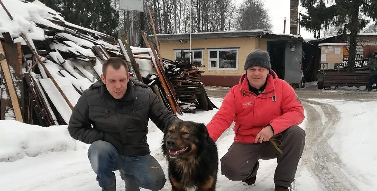 Знайшліся гаспадары сабакі, якога выратавалі з Свіслачы