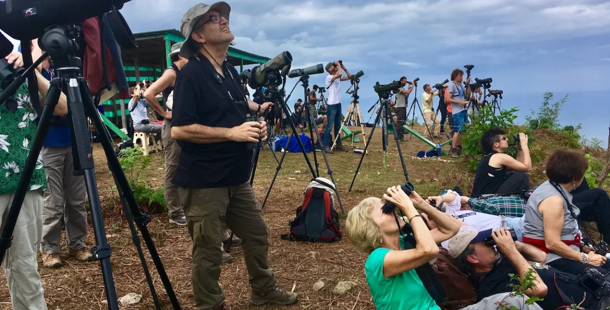 Birdwatching в Аджарии. Как птицы привлекают туристов