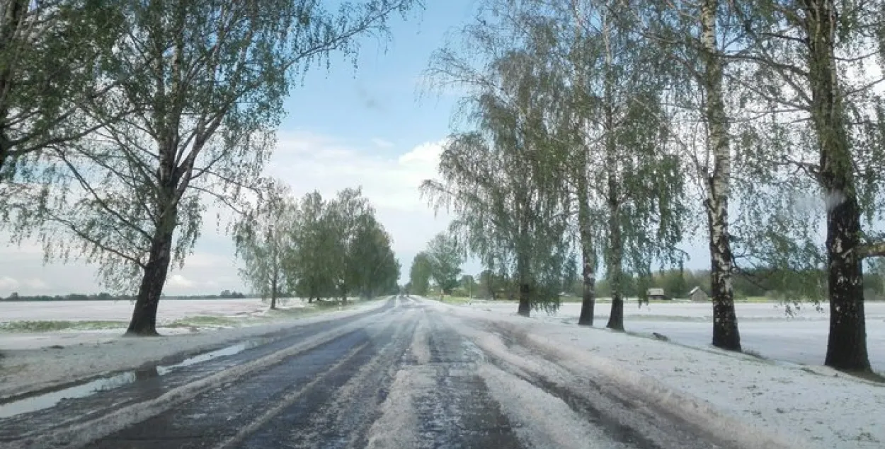 Зіма ў Віцебскай вобласці (фота)