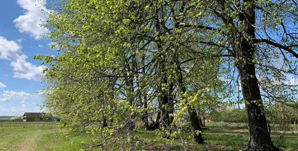 Вясна на Палессі / Еўрарадыё