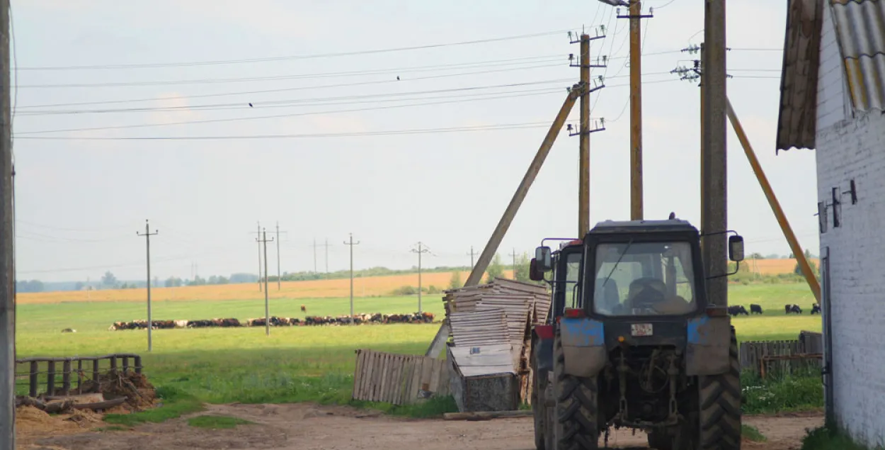 Саўмін апублікаваў спіс калгасаў-банкрутаў. Але тыя не збіраюцца ліквідавацца