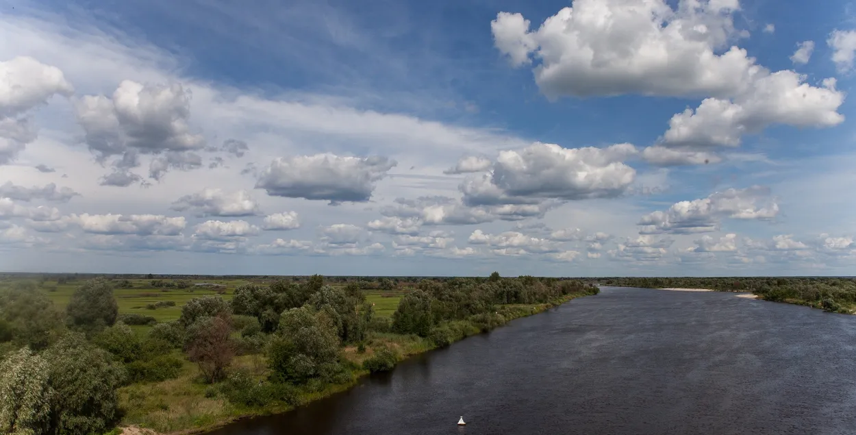 Рака Прыпяць у Жыткавіцкім раёне / Андрэй Лянкевіч / Еўрарадыё