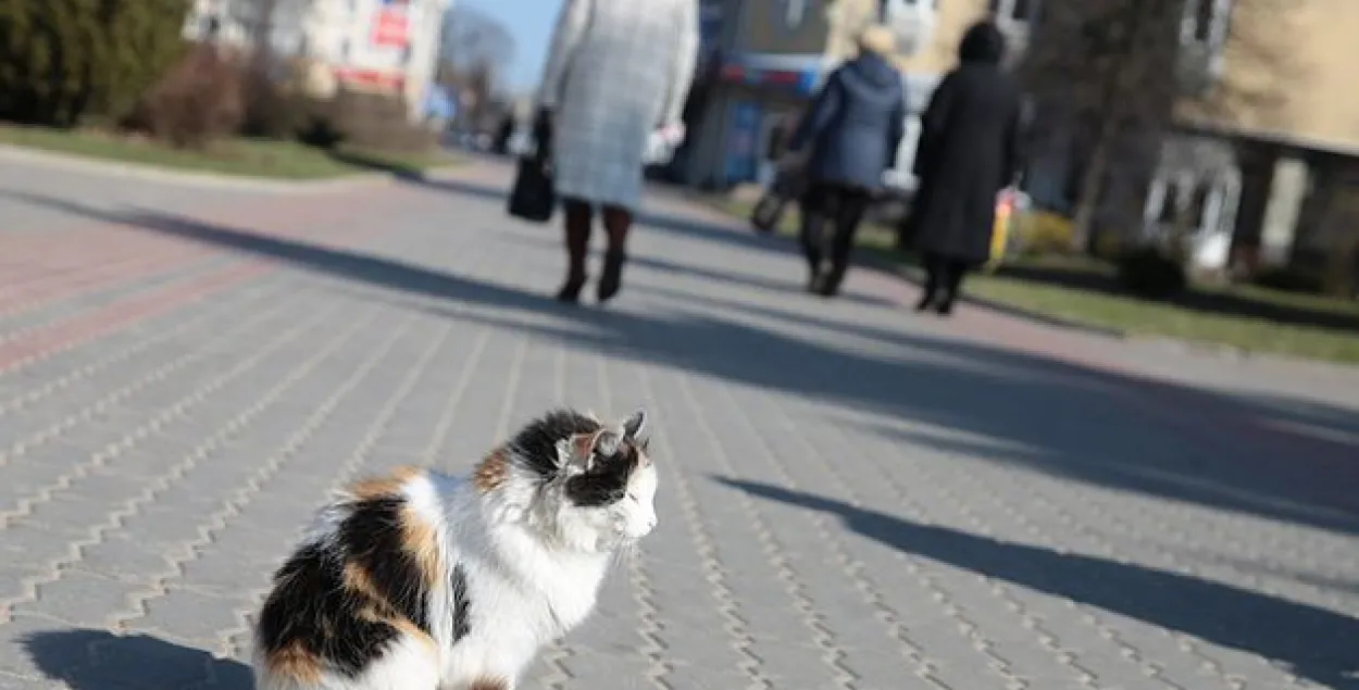 У панядзелак пахаладае, будзе парывісты вецер