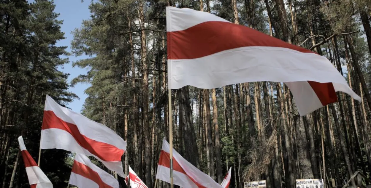 Мінкульт працягвае збіраць грошы на мемарыял у Курапатах