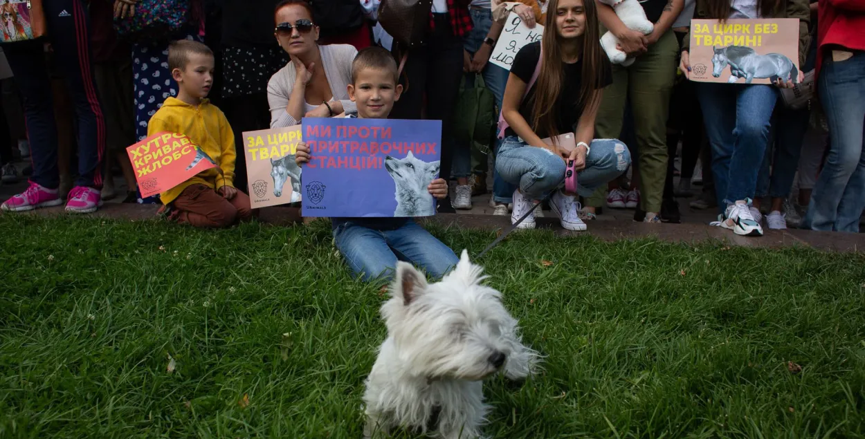 Усеўкраінскі марш за жывёл, Кіеў, 15 верасня 2019 года / hromadske