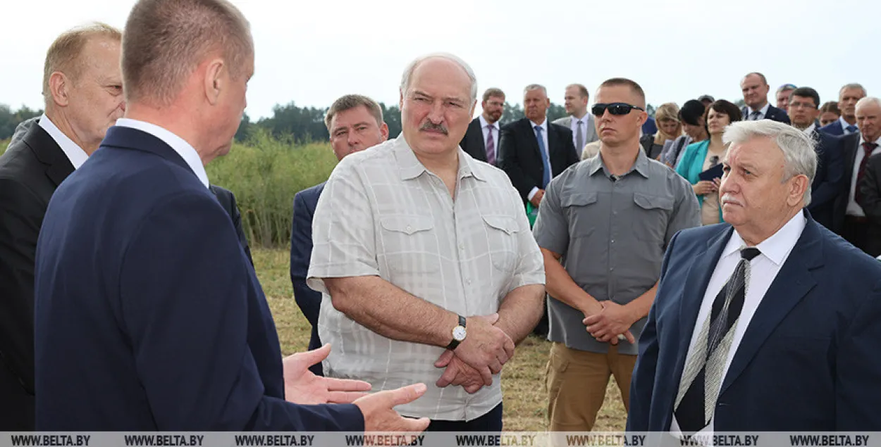 Лукашэнка прыдумаў, як павысіць ураджайнасць: патрэбная дыктатура