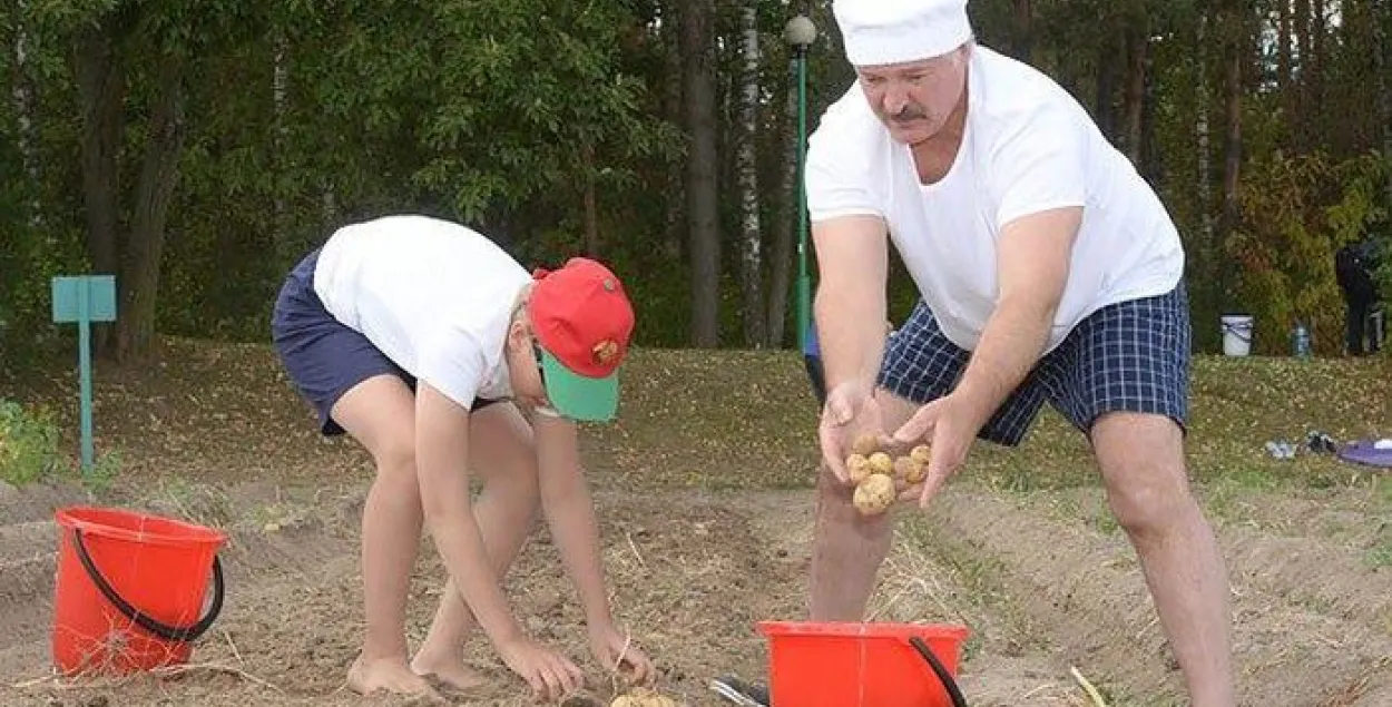 Лукашэнка лічыць, што Беларусі “вельмі патрэбныя прафесіяналы”