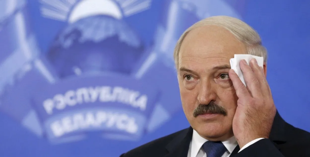 12 безработных, 10 ИПшников, 8 пенсионеров: они идут в президенты Беларуси