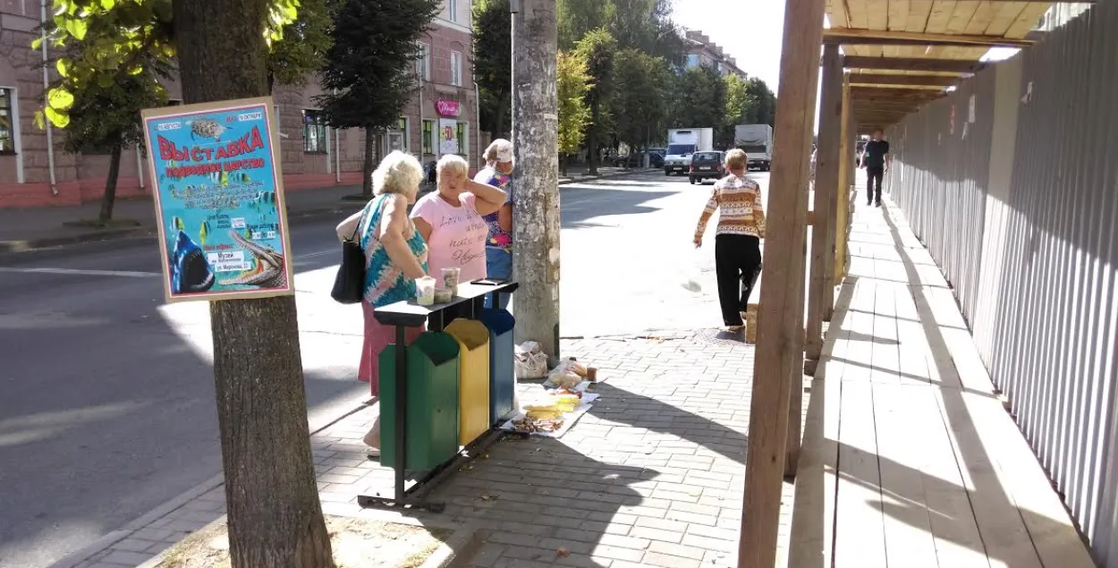 Магілёўскія гандляркі выкарыстоўваюць сметніцы як прылаўкі (фотафакт)