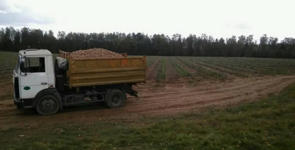 Бацька загінулай маладзечанскай школьніцы патрабуе спецыяльнага расследавання