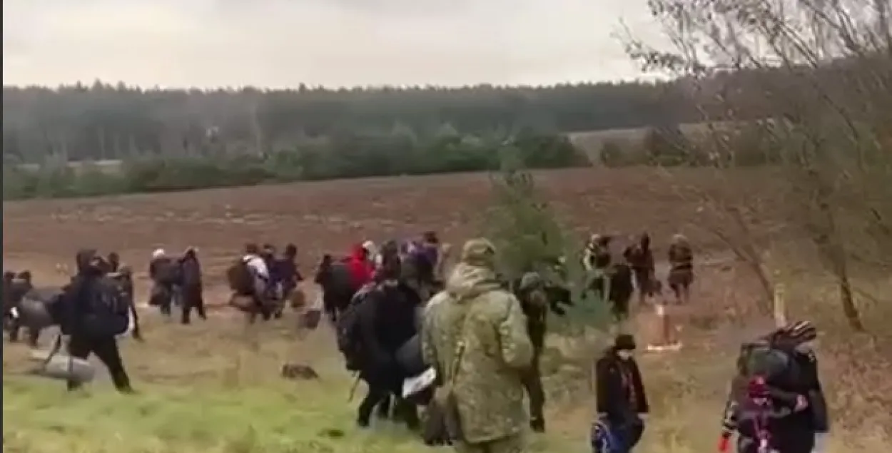 Вялікая група мігрантаў была заўважаная на дарозе Мінск &mdash; Гродна / скрыншот відэа