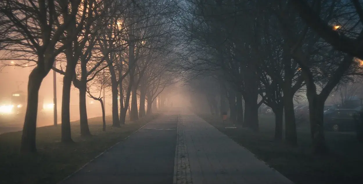 В пятницу в Беларуси ночью и утром ожидаются туманы / pixabay.com
