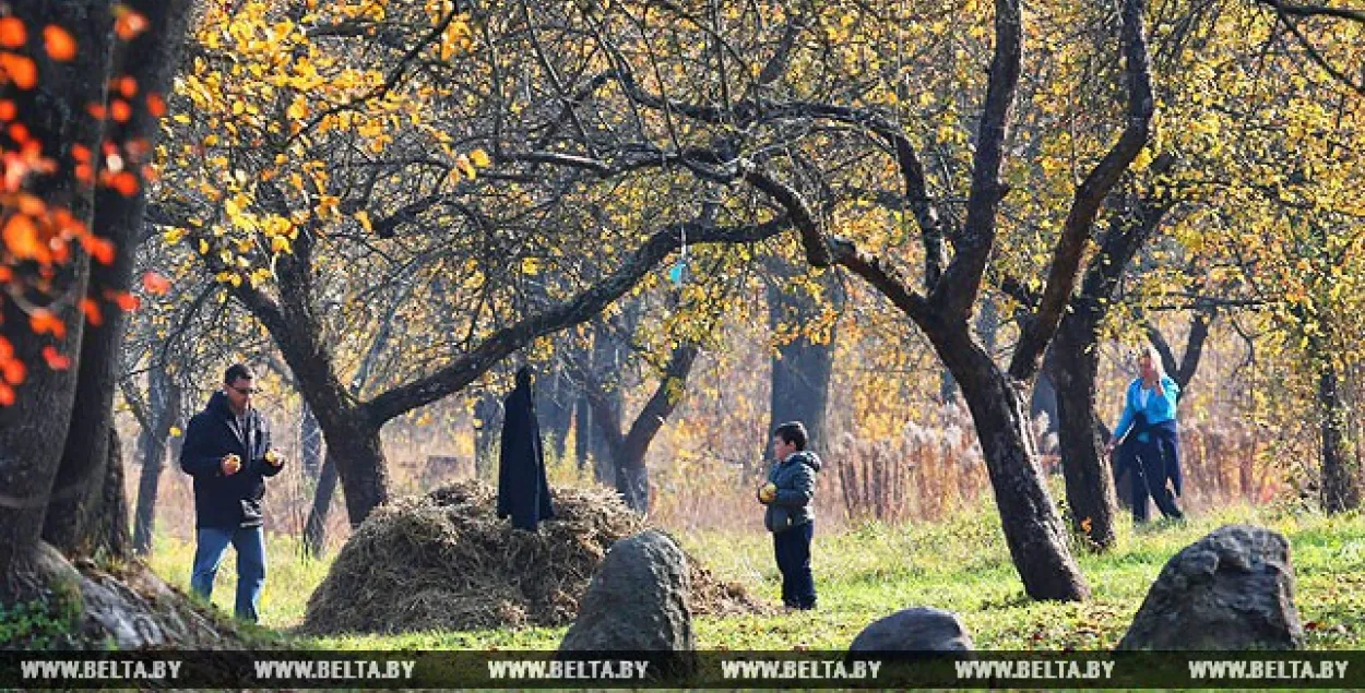 Да +20 прагназуюць на гэтым тыдні ў Беларусі