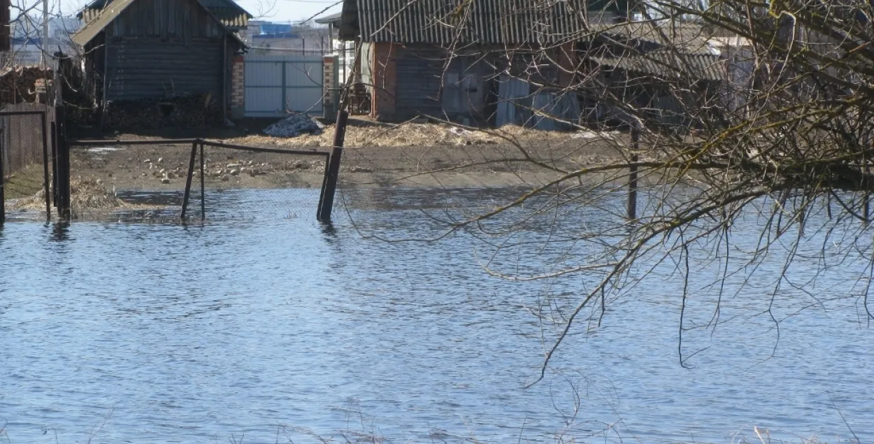 На Гомельшчыне на суткі ўзрасла колькасць падтопленых падворкаў