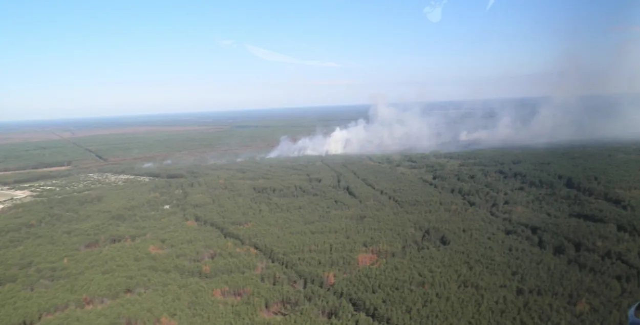 Пажар у Чарнобыльскай зоне ліквідаваны