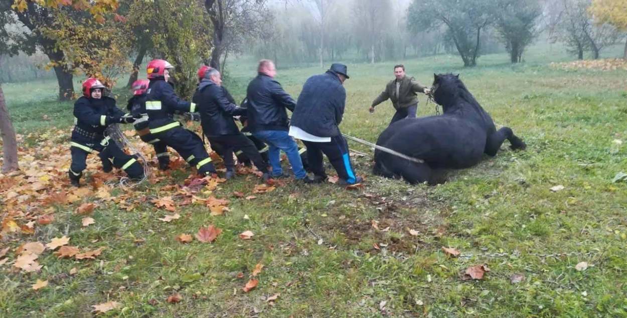 Ратавальнікі паведамляюць, што ніхто не пацярпеў / minsk.mchs.gov.by​