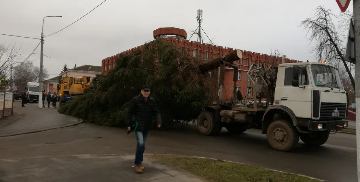 Галоўную навагоднюю ялінку ў Полацку ўпусцілі на мосце пры перавозцы