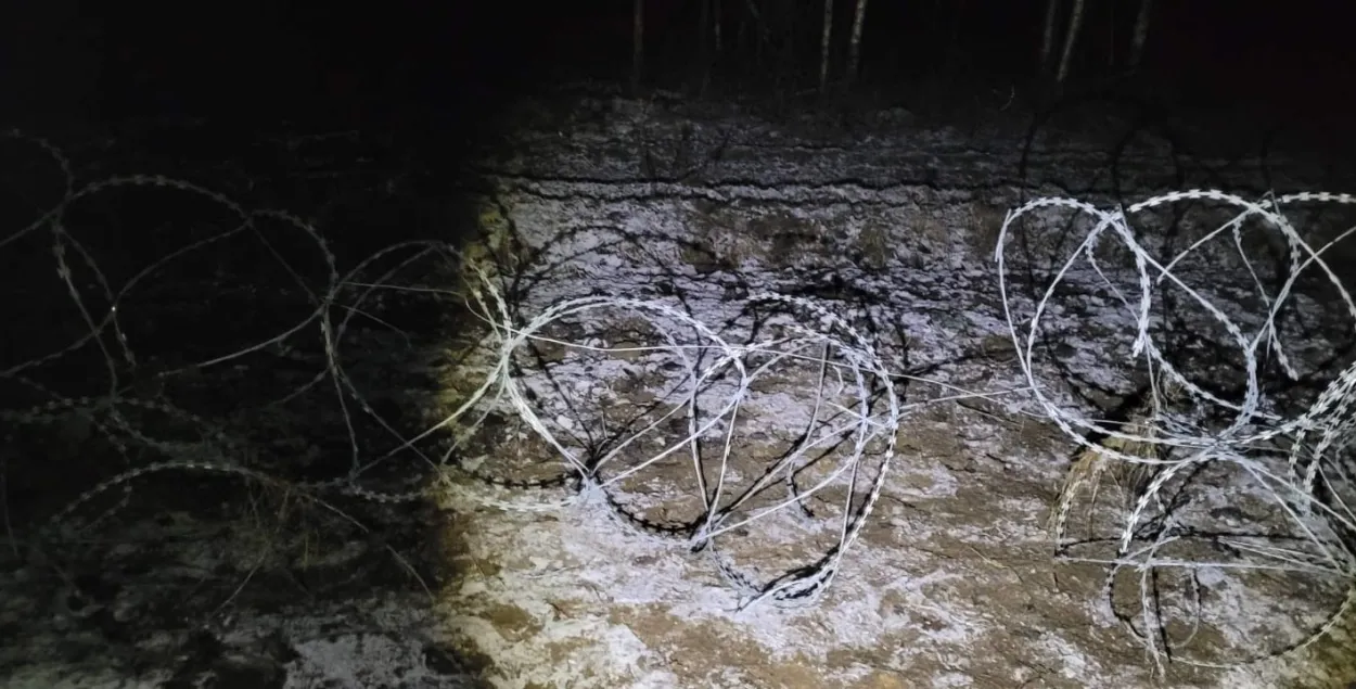 Мігранты двойчы спрабавалі з Беларусі штурмаваць польскую мяжу на адным участку