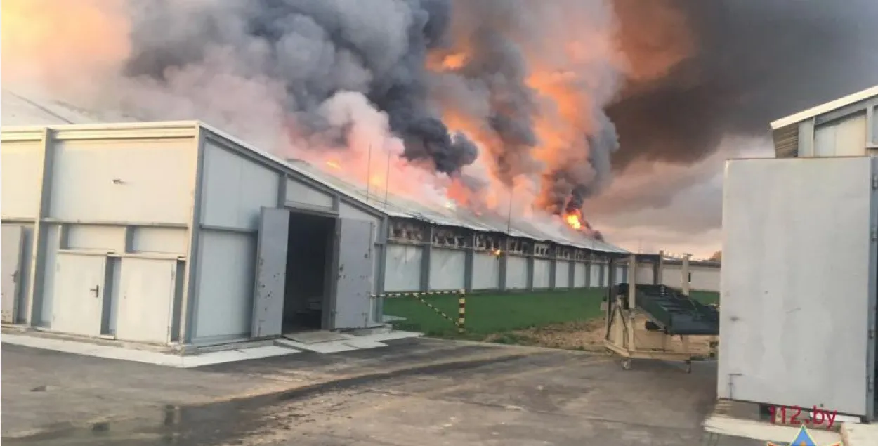 У Смалявіцкім раёне ўначы гарэў птушнік