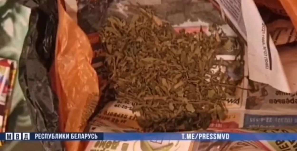 Міліцыя: у сяброў Усхопава знайшлі кілаграм марыхуаны