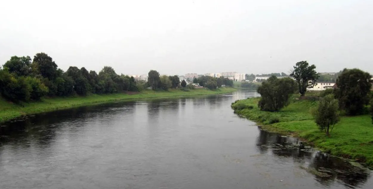 У Оршы выратавальнікі ехалі з пажару і па дарозе ўратавалі тапельца