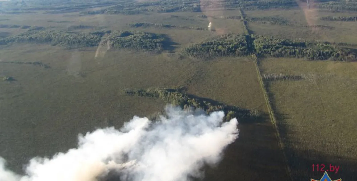 На Гомельшчыне ратавальнікі змагаюцца з буйным лясным пажарам (фота)