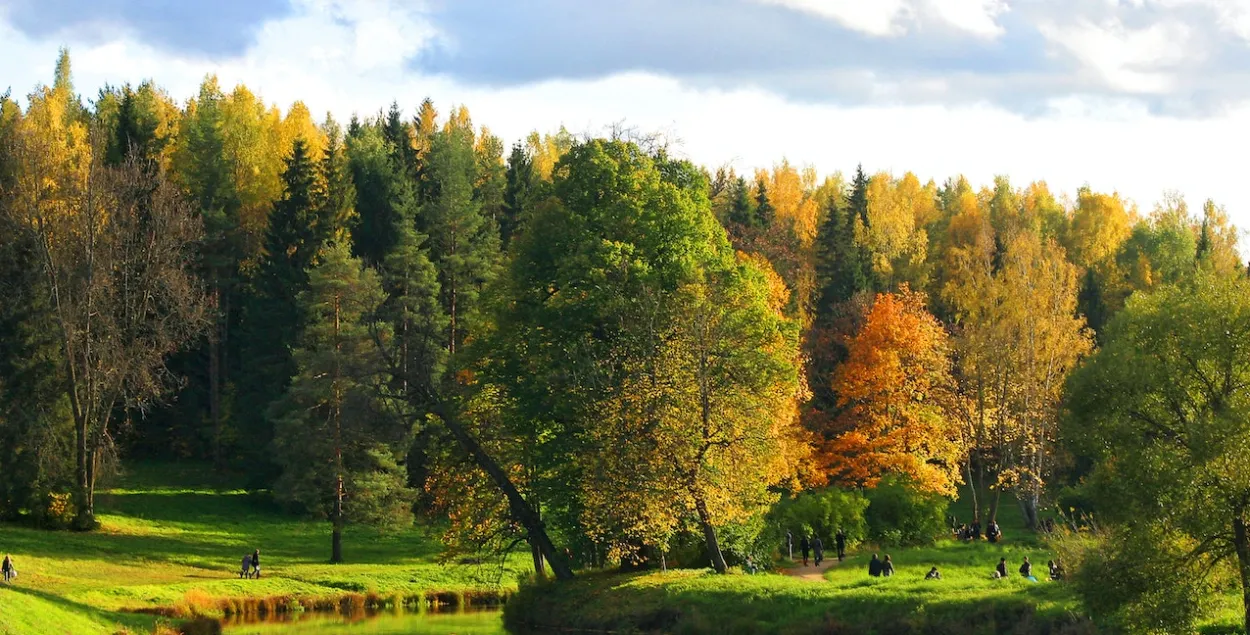 Сентябрь / pexels.com, иллюстративное фото