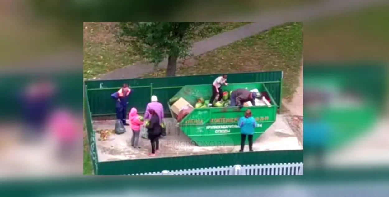 Арбузы на помойке в Гродно, кадр из видео