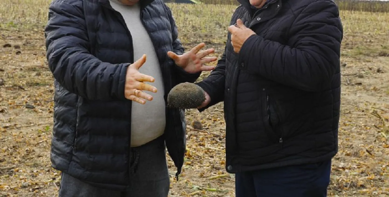 В Беларуси не хватает агрономов