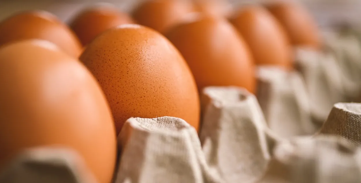Яйца, иллюстративное фото
