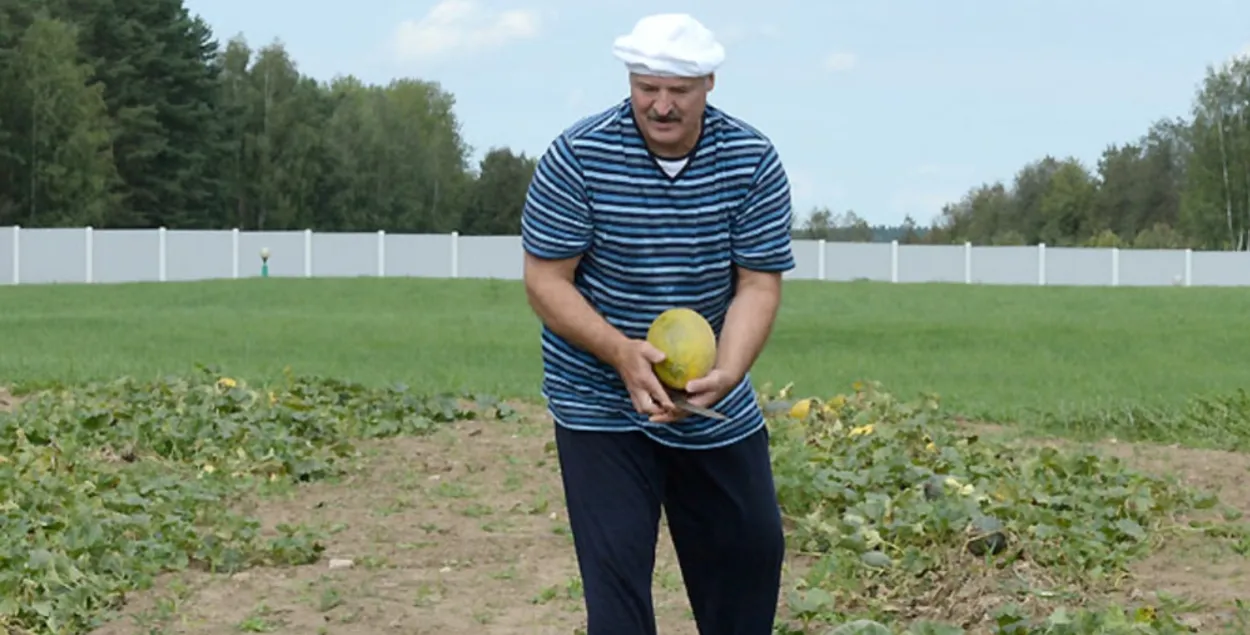 Для Лукашэнкі купілі дзве дарагія газонакасілкі
