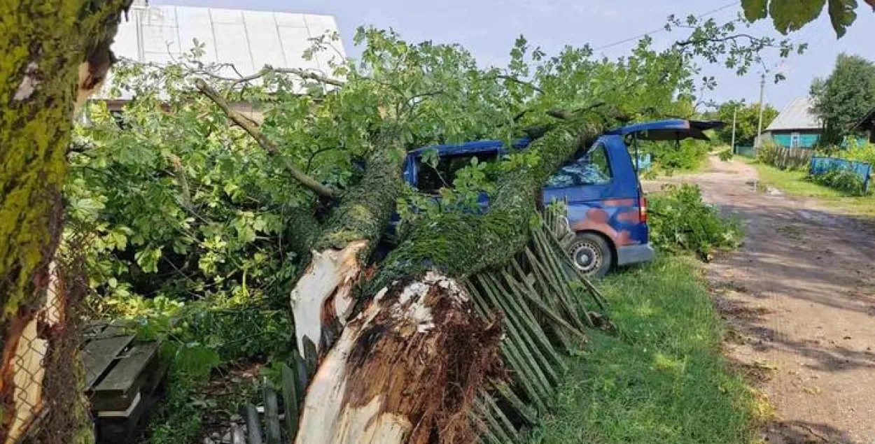 Последствия урагана в Беларуси
