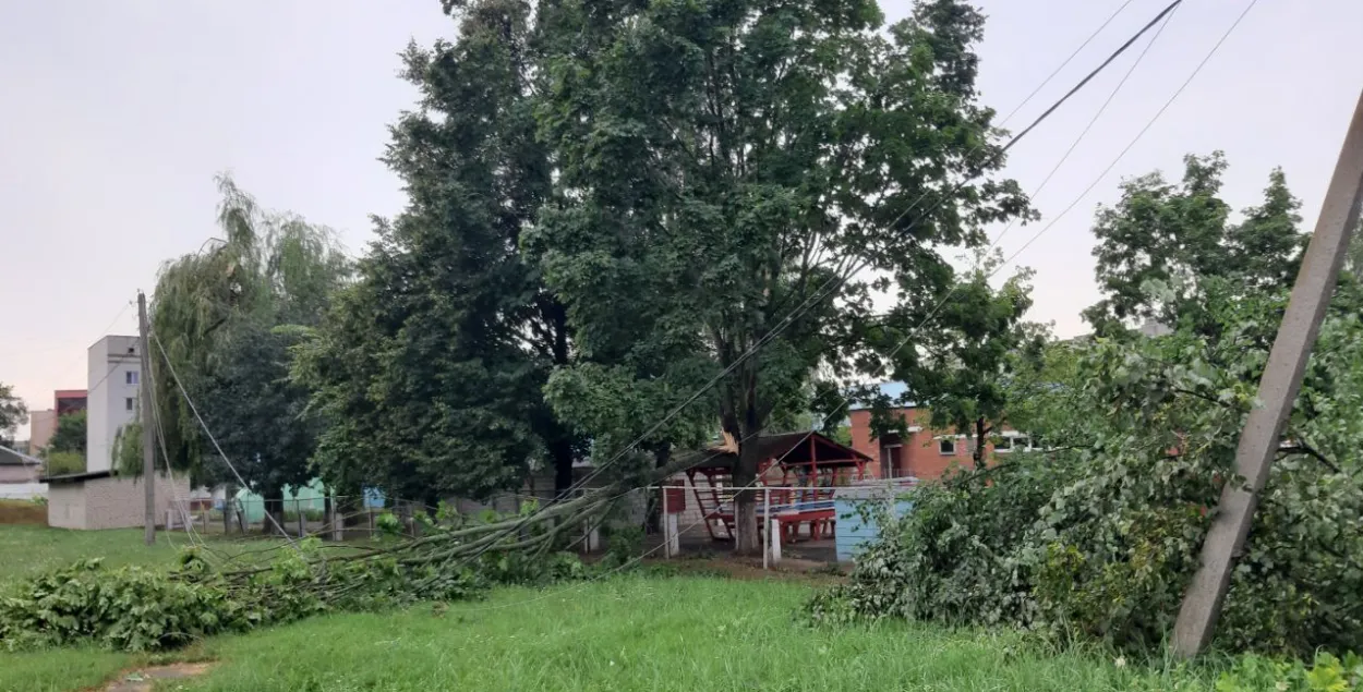 Последствия урагана в Калинковичах
