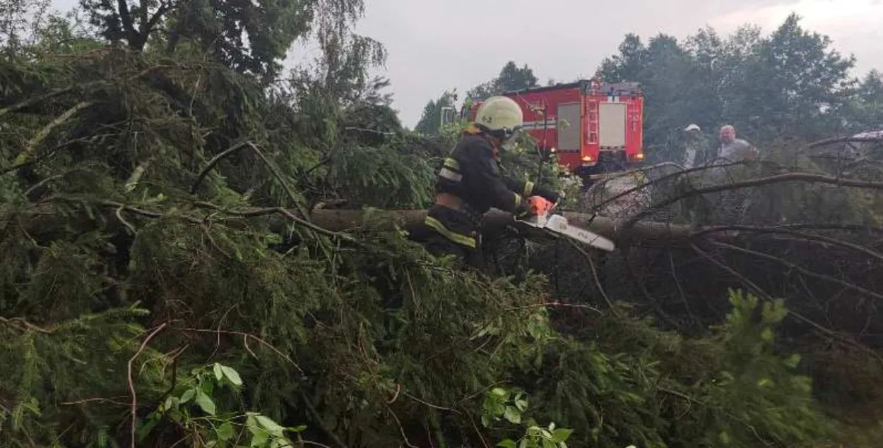 Спасатель распиливает поваленное дерево после урагана 1 июля
