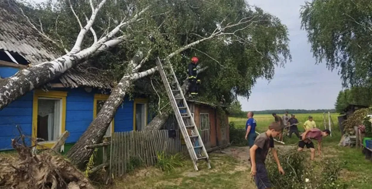 Последствия урагана в Гомельской области
