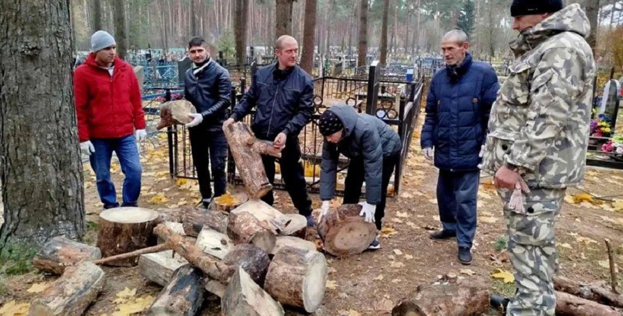 "Вовлечение в общественную жизнь и трудовую деятельность"
