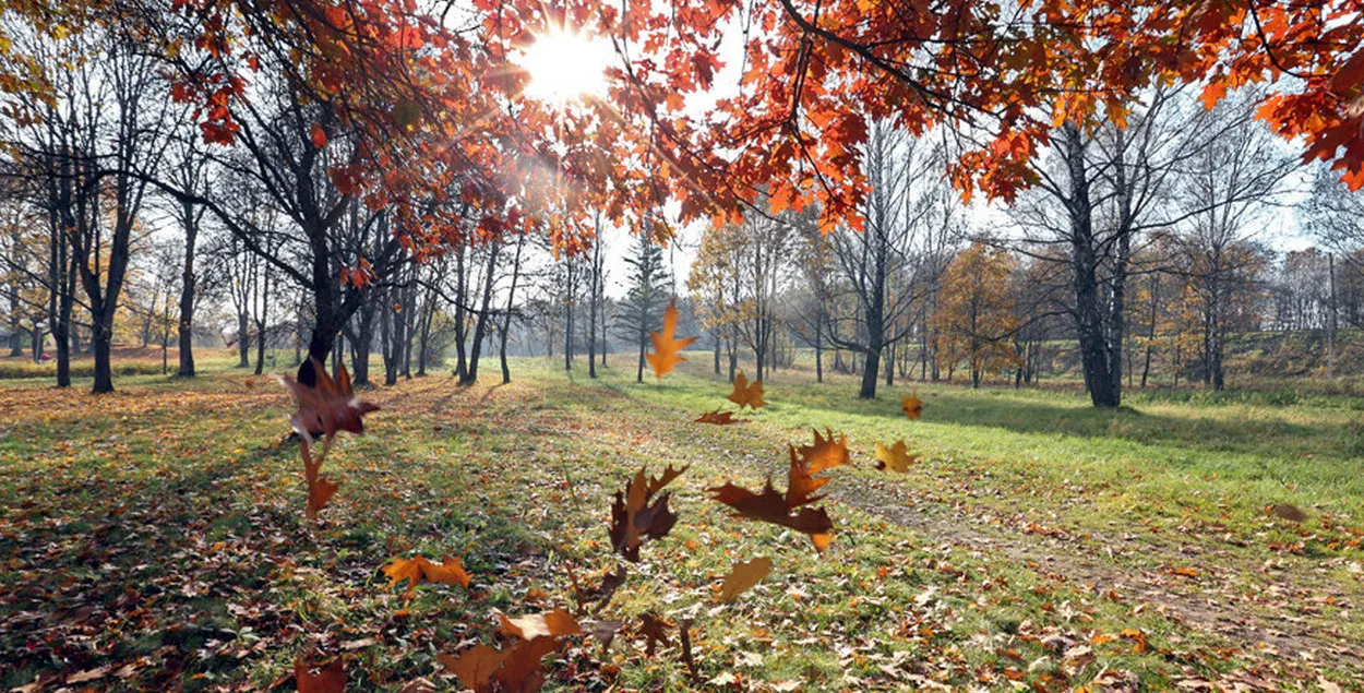 В Беларуси похолодало&nbsp;
