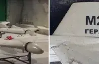 Іранскія дроны Shahed у РФ назвалі "Герань" / obozrevatel.com
