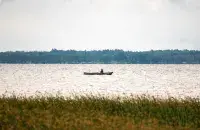 Летам у Беларусі / З архіва Еўрарадыё
