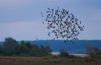 Прогнозируются мокрый снег и заморозки