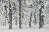 Завіруха, ілюстрацыйнае фота