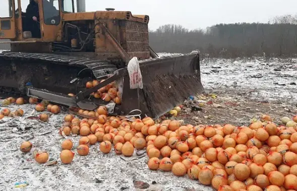 Знішчэнне памела бульдозерам / Рассельгаснагляд