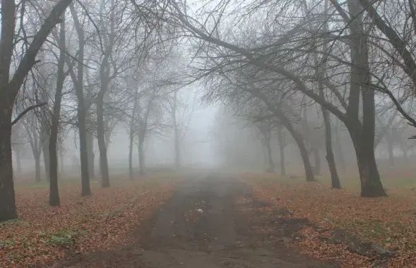 Днём месцамі па рэспубліцы чакаецца туман і галалёд&nbsp;/ drogichin.by