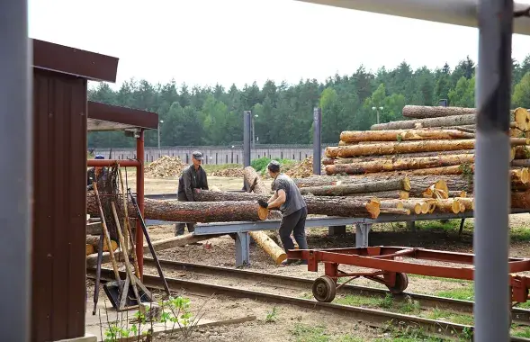 Ряд мебельных гигантов финансируют режим Лукашенко, закупая древесину, заготовленную в колониях Беларуси / intex-press
&nbsp;
