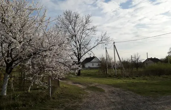 Вясна на Палессі / Еўрарадыё