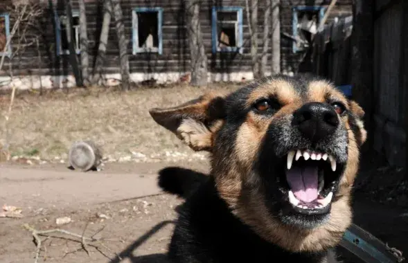 Крымінальную справу распачалі супраць сына загінулага / фота носіць ілюстрацыйны характар
